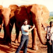 1980 Tsavo East Elephants